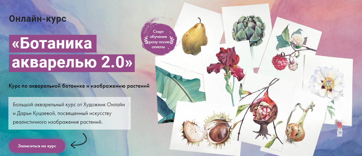 [Художник Online] Дарья Куцаева - Ботаника акварел_0.png